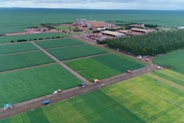 5G chega para revolucionar o agronegócio brasileiro