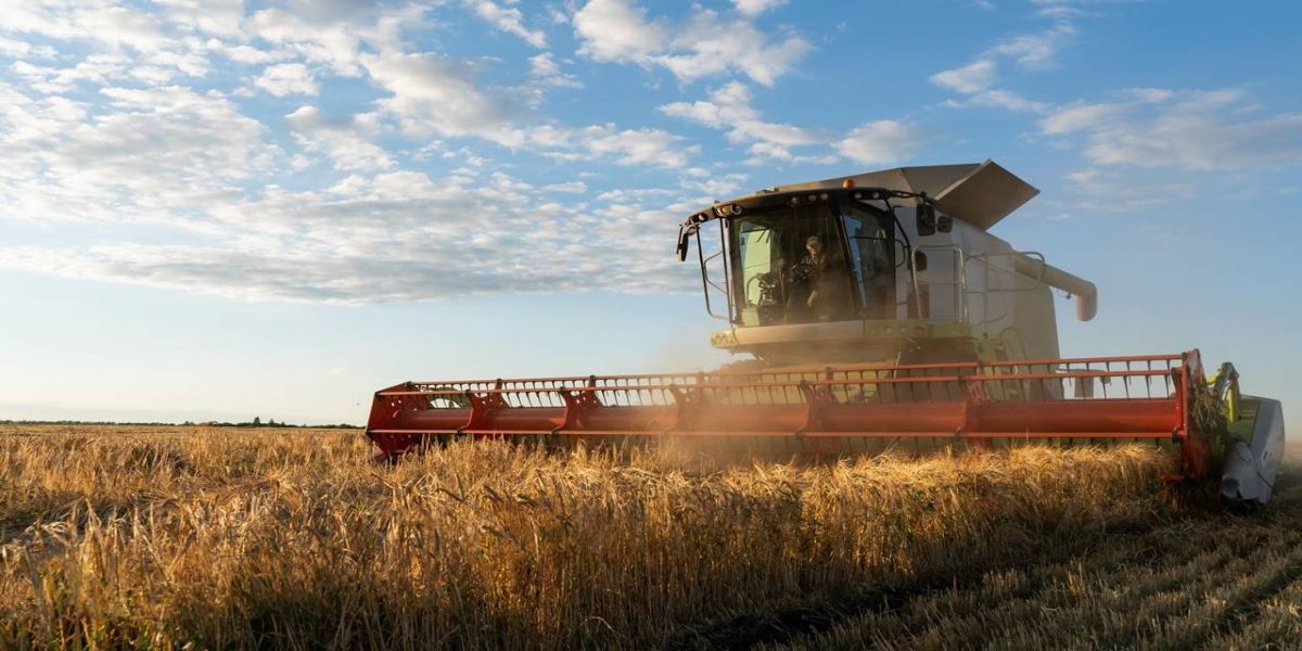 Os impactos da Selic na vida do produtor e do consumidor