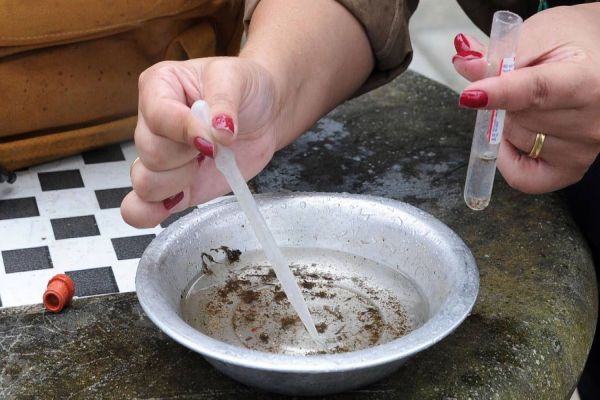 Com aumento de casos, Paraná declara epidemia de dengue