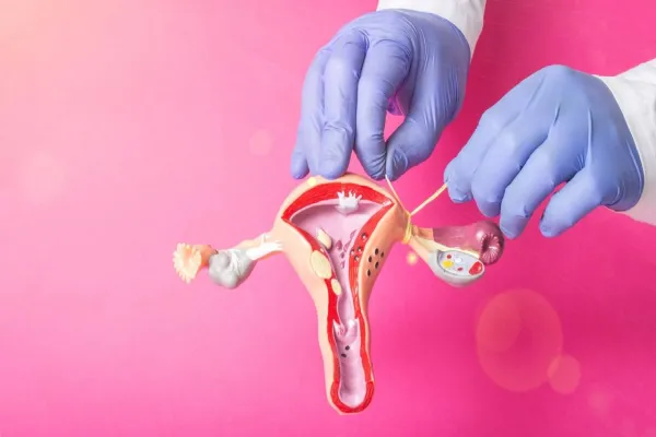 Foto relacionada a notícia: Polêmico Projeto que reduz exigências para laqueadura segue para a Comissão de Saúde da Alep