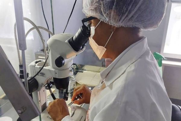 Empresa Incubada na Fundetec promove curso na área de Micropropagação de Tecido Vegetal