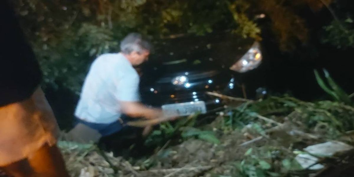 Marido socorre esposa atacada por Pit Bull e carro cai em córrego no sudoeste do Paraná