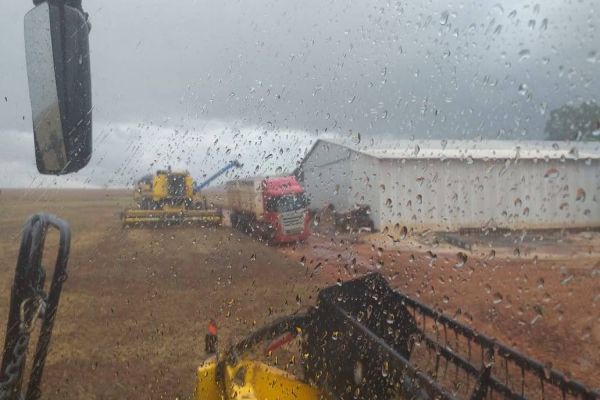 Chuva de quase 400 mm e ventos de 100 km/h podem trazer estragos para o Sul