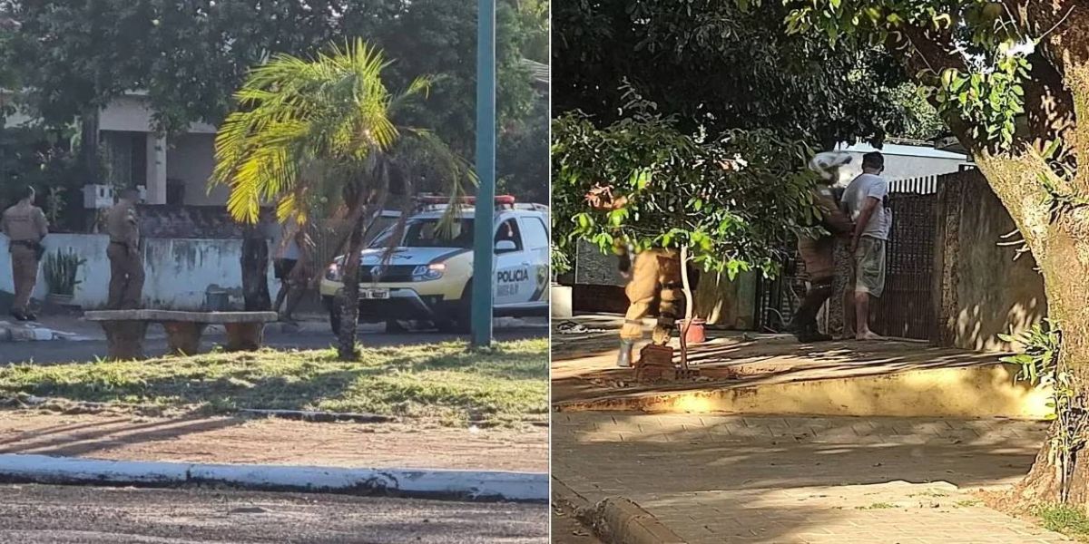 PM prende 65 pessoas em operação contra abuso sexual de crianças e adolescentes