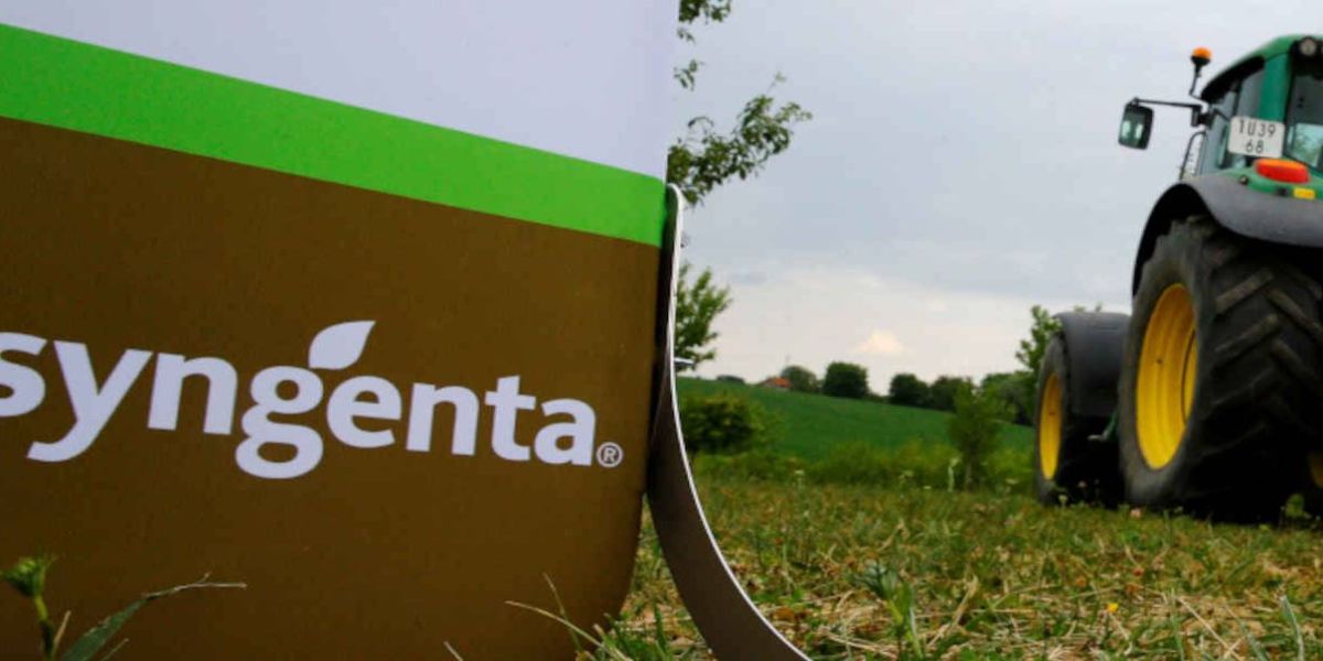 Syngenta Seeds anuncia novas lideranças no Brasil e América Latina