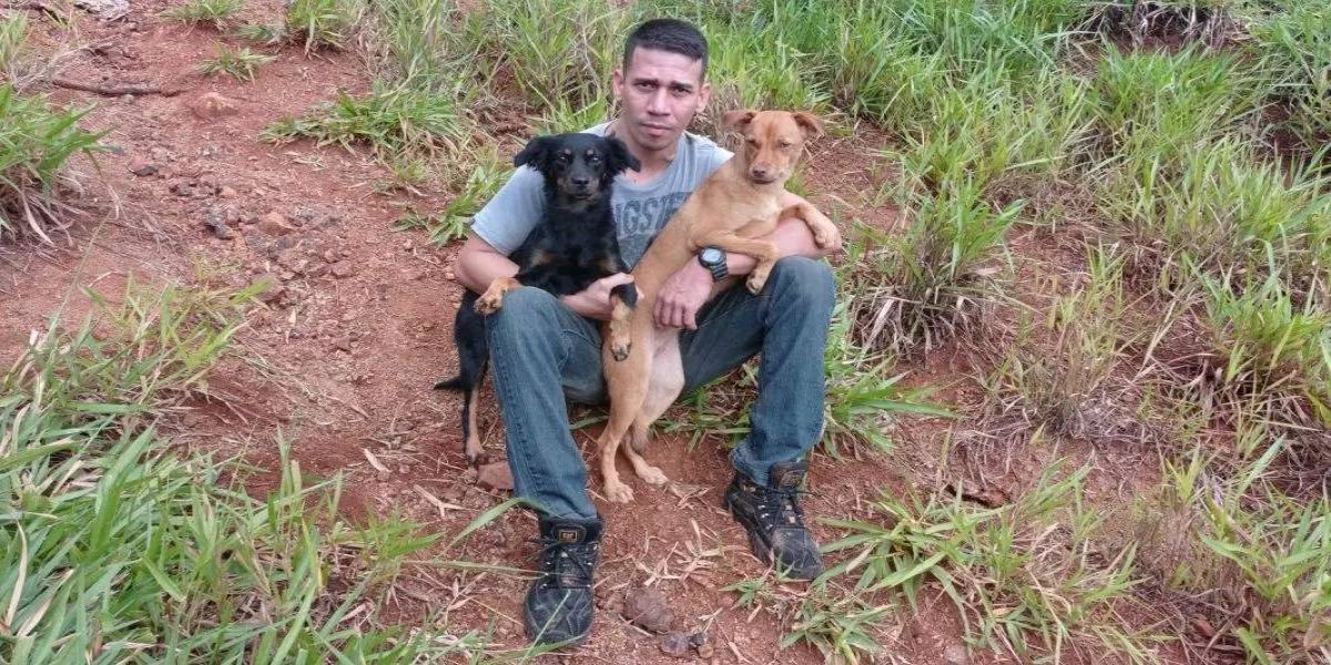 Em busca de cachorros perdidos, homem despenca de barranco e encontra animais também caídos
