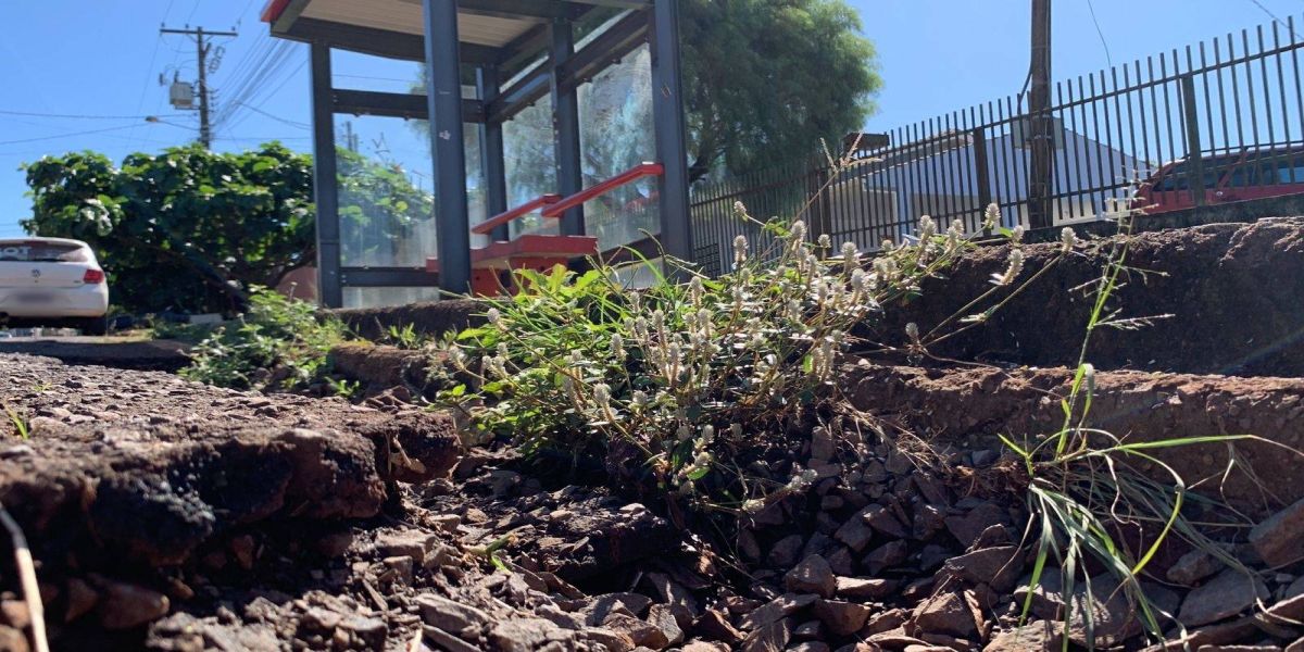 Moradores do Bairro Brasmadeira pedem concerto de cratera próximo a ponto de ônibus na Rua Alvorada