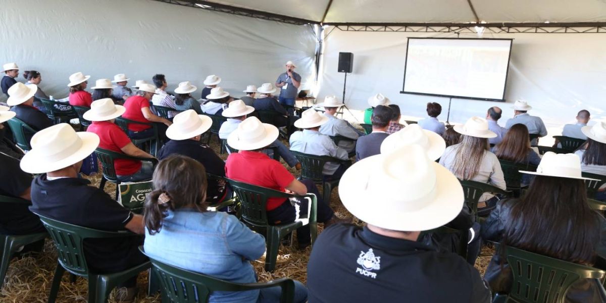 Avicultura 4.0 é tema de palestra no Copacol Agro