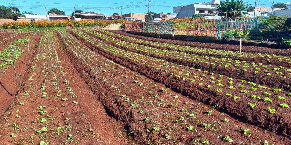 Representantes de 22 municípios conhecem o Programa Agricultura Urbana