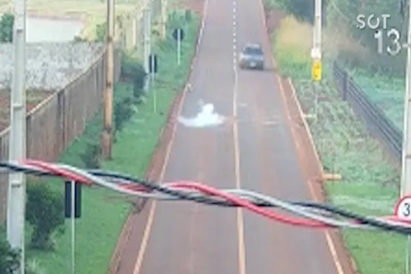 Foto relacionada a notícia: Motorista atira “Rojão” em cachorro na Estrada Rio da Paz