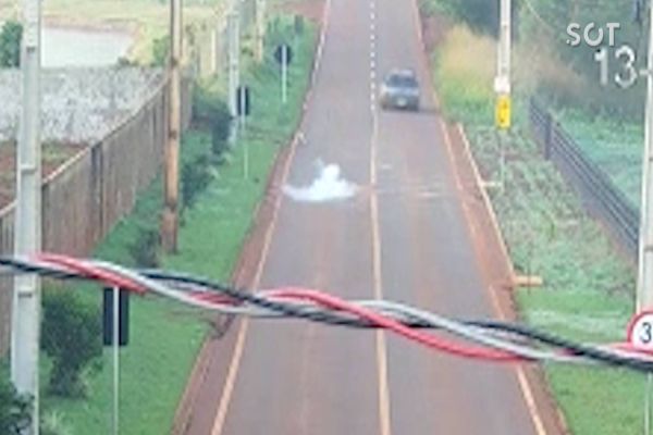 Imagem referente a notícia: Motorista atira “Rojão” em cachorro na Estrada Rio da Paz