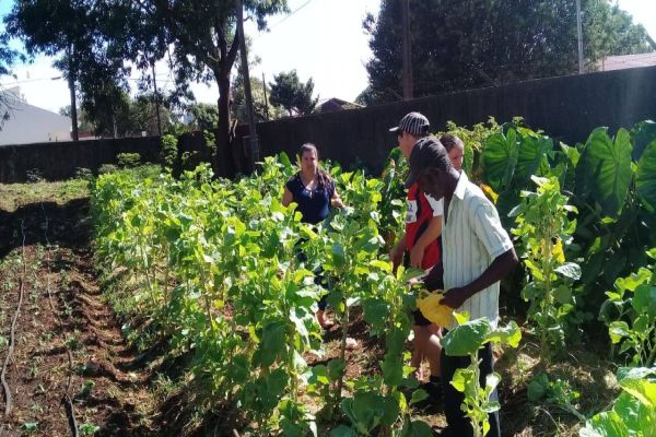 Paraná inicia censo inédito para mapear perfil da agricultura orgânica no Estado