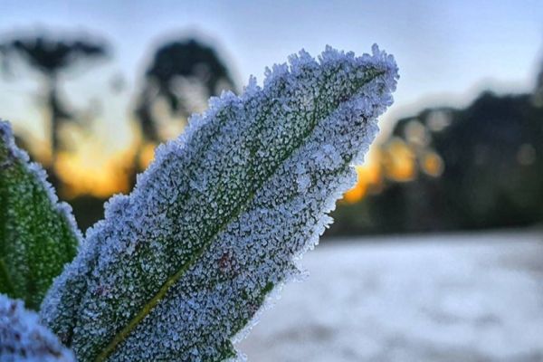 Onda de frio chega a Cascavel e temperaturas despencam