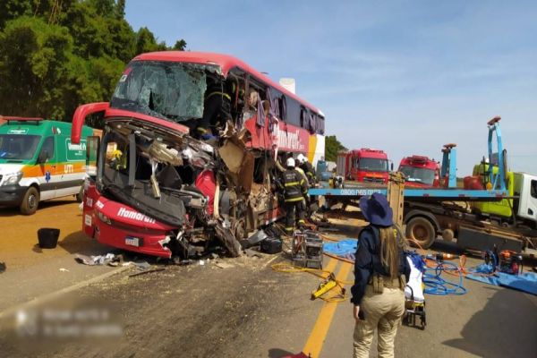 Imagem referente a notícia: Acidente grave entre ônibus e carreta deixa 11 passageiros mortos na BR-163 em MT