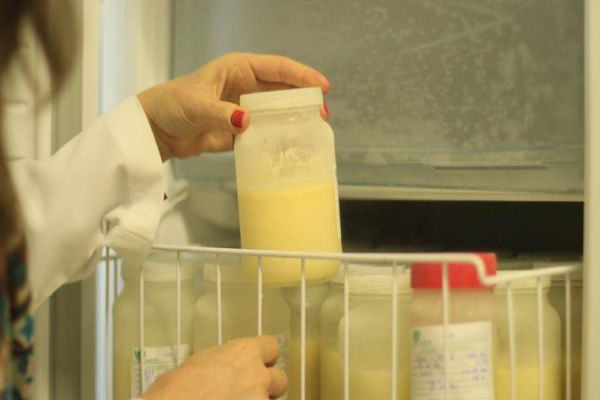 Agosto Dourado: Paraná reforça incentivo ao aleitamento materno e doação de leite