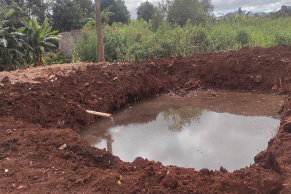 Duas pessoas são detidas pela GM por crime ambiental no Jardim Presidente