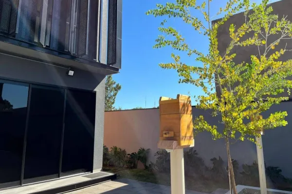 Foto relacionada a notícia: AMIC Paraná adere ao projeto Jardins de Mel em Cascavel
