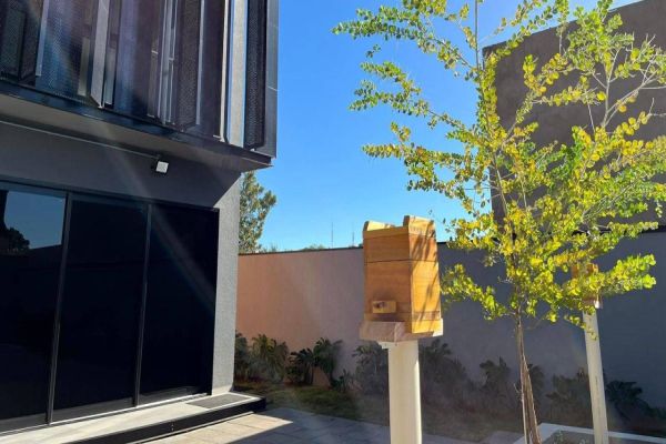 Imagem referente a notícia: AMIC Paraná adere ao projeto Jardins de Mel em Cascavel