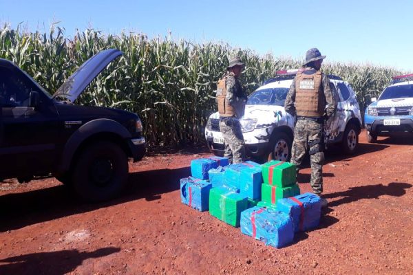 Imagem referente a notícia: Guarda Municipal realiza grande apreensão de maconha em estrada rural em Cascavel