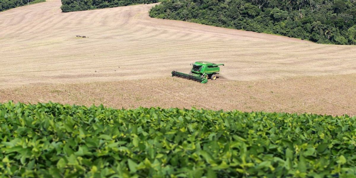 Produtores rurais e agricultores familiares ganham mais prazo para negociar com o governo dívidas