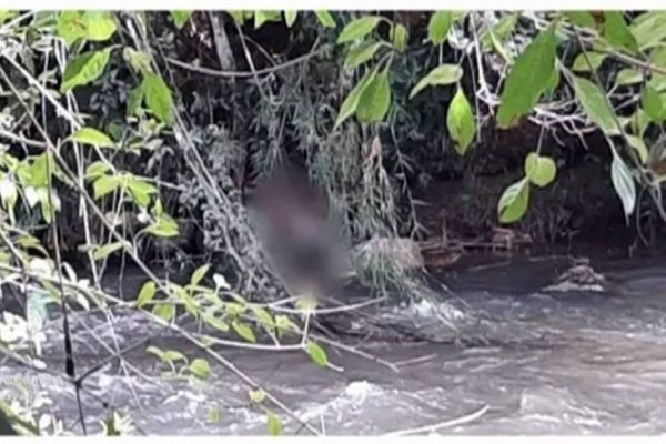 Policia Civil identifica corpo achado em decomposição e apreende responsáveis pelo crime