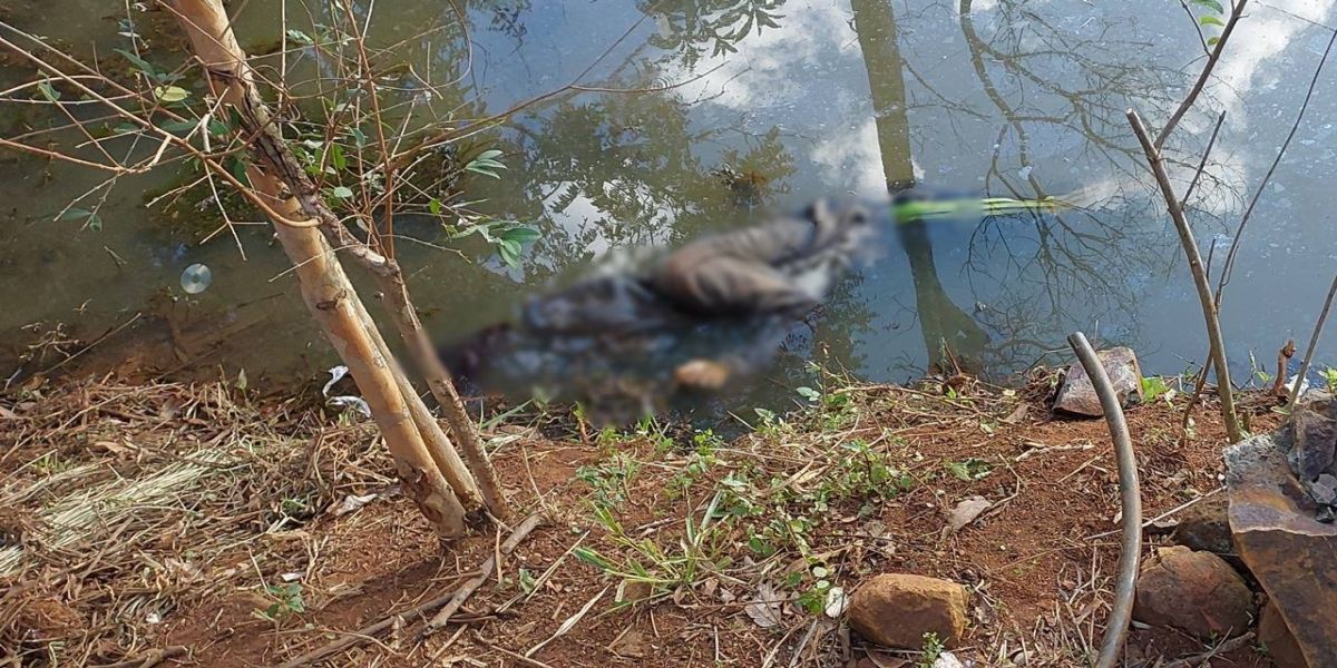 Homem é encontrado morto dentro de açude no Bairro São José em Guaraniaçu