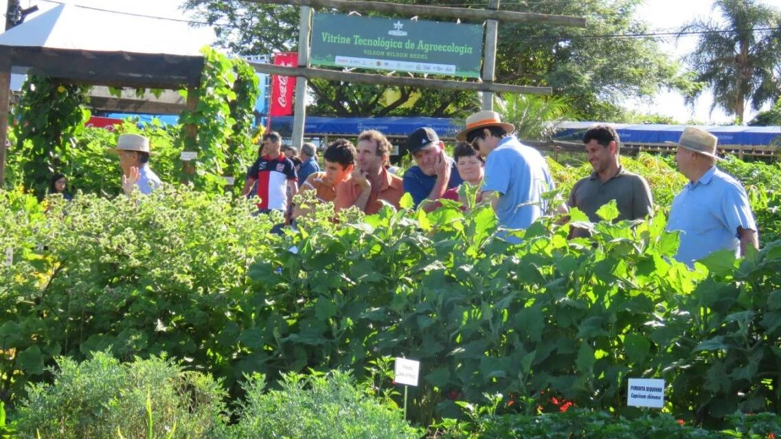 Foto relacionada a notícia: Vitrine Tecnológica poderá virar um centro permanente de estudos