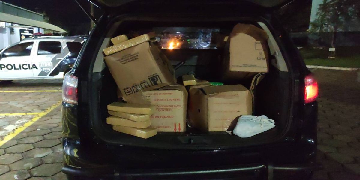 Pelotão do Choque apreende mais de 250kg de maconha em residência no Bairro Cancelli