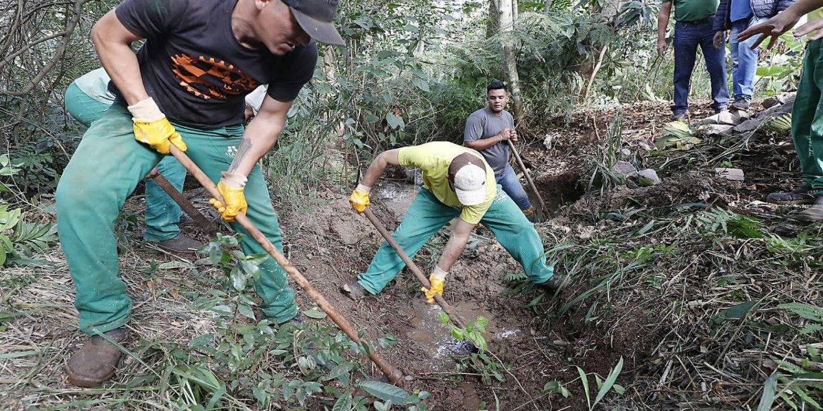 Nascente do Rio Cascavel é recuperada em oficina do Meio Ambiente