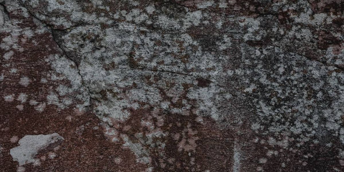 4 dicas para acabar com o bolor, mofo e o limo na calçada