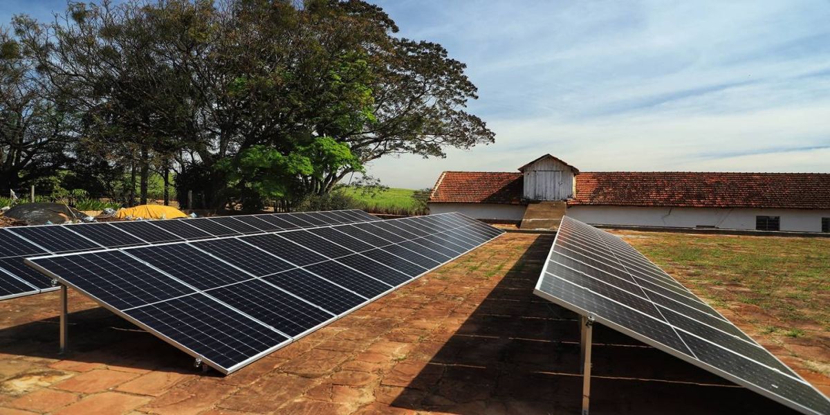 Com Descomplica, Paraná avança na desburocratização dos serviços públicos em diversas áreas