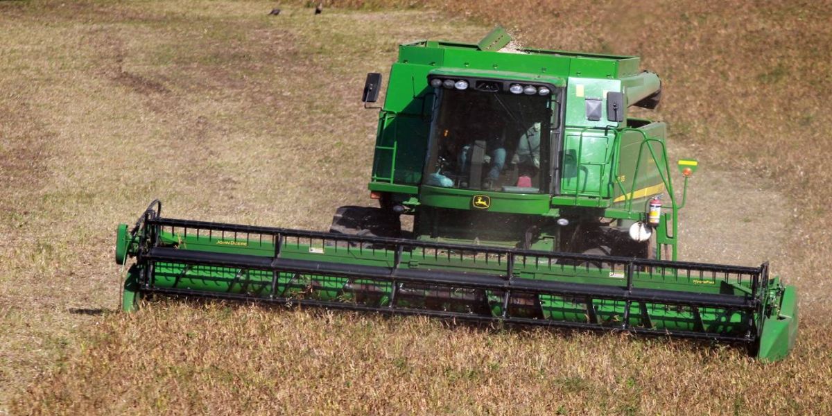 Responsável por um quarto da produção nacional, Paraná avança na colheita de feijão