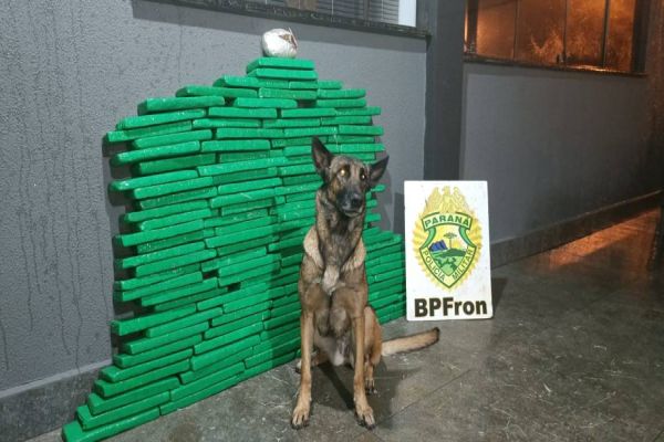 Imagem referente a notícia: BPFRON apreende carro carregado com substância análoga a maconha em Toledo