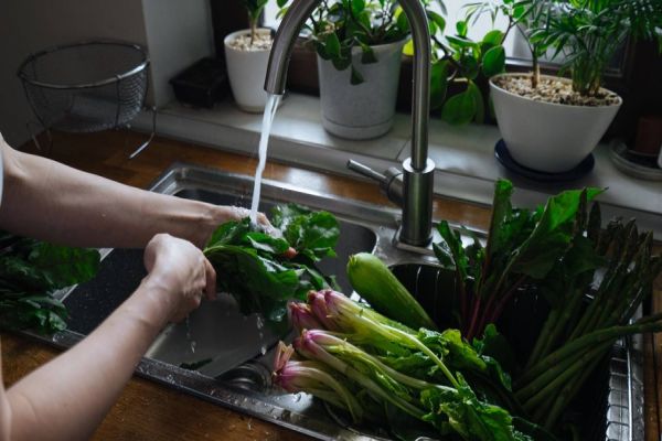 Sete erros comuns na higienização e conservação dos alimentos