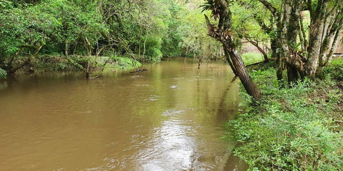 IDR-Paraná incentiva pesquisas sobre agricultura sustentável e proteção ambiental