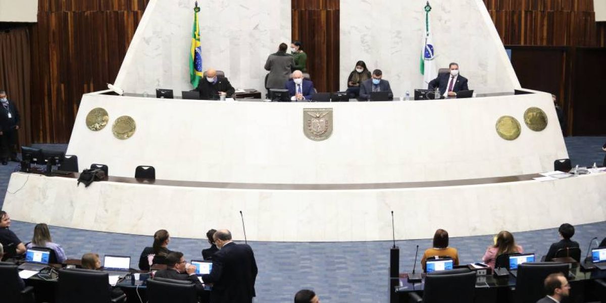 Projeto que cria a Lei de Incentivo à Cultura do Bambu é aprovado em primeiro turno