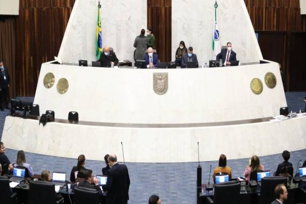 Projeto que cria a Lei de Incentivo à Cultura do Bambu é aprovado em primeiro turno