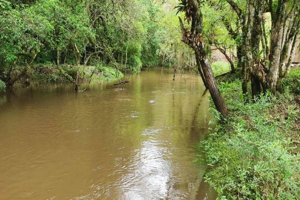 IDR-Paraná incentiva pesquisas sobre agricultura sustentável e proteção ambiental