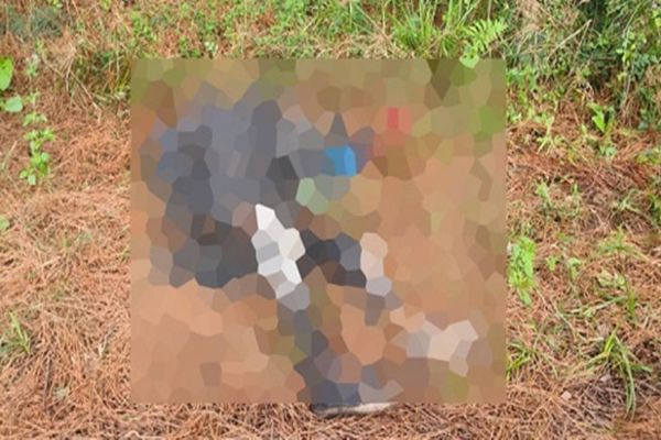 Corpo carbonizado é localizado em estrada rural na divisa entre o Paraná e Santa Catarina