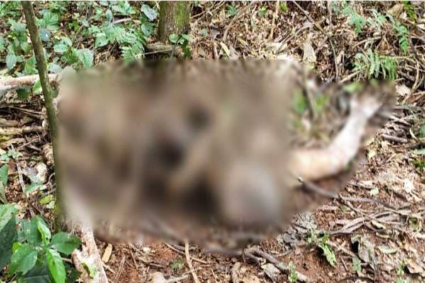 Corpo em avançado estado de decomposição é localizado em Diamante do Sul