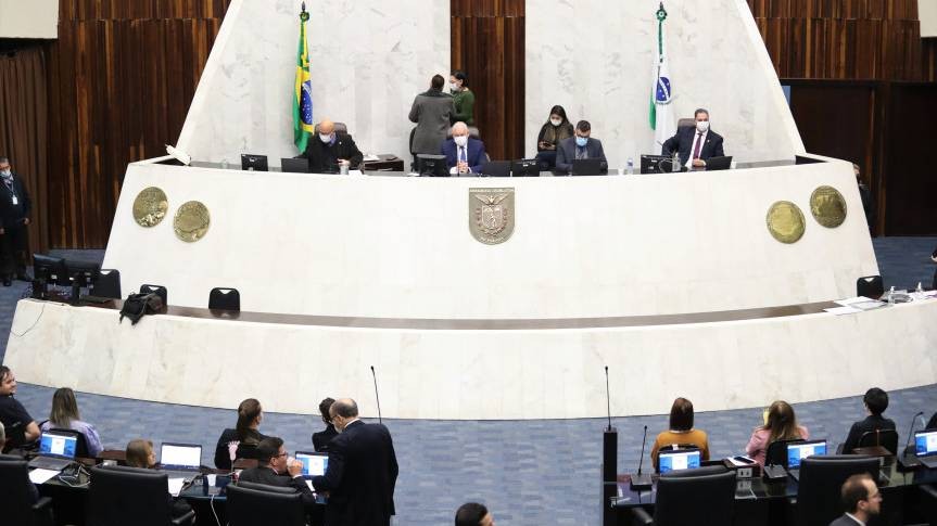Projeto que cria a Lei de Incentivo à Cultura do Bambu é aprovado em primeiro turno