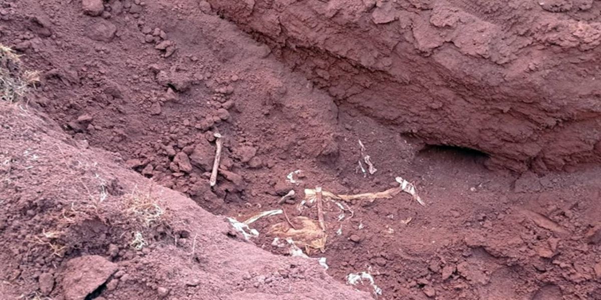 Restos mortais humanos são encontrados durante escavação de rede de esgoto em Campo Mourão