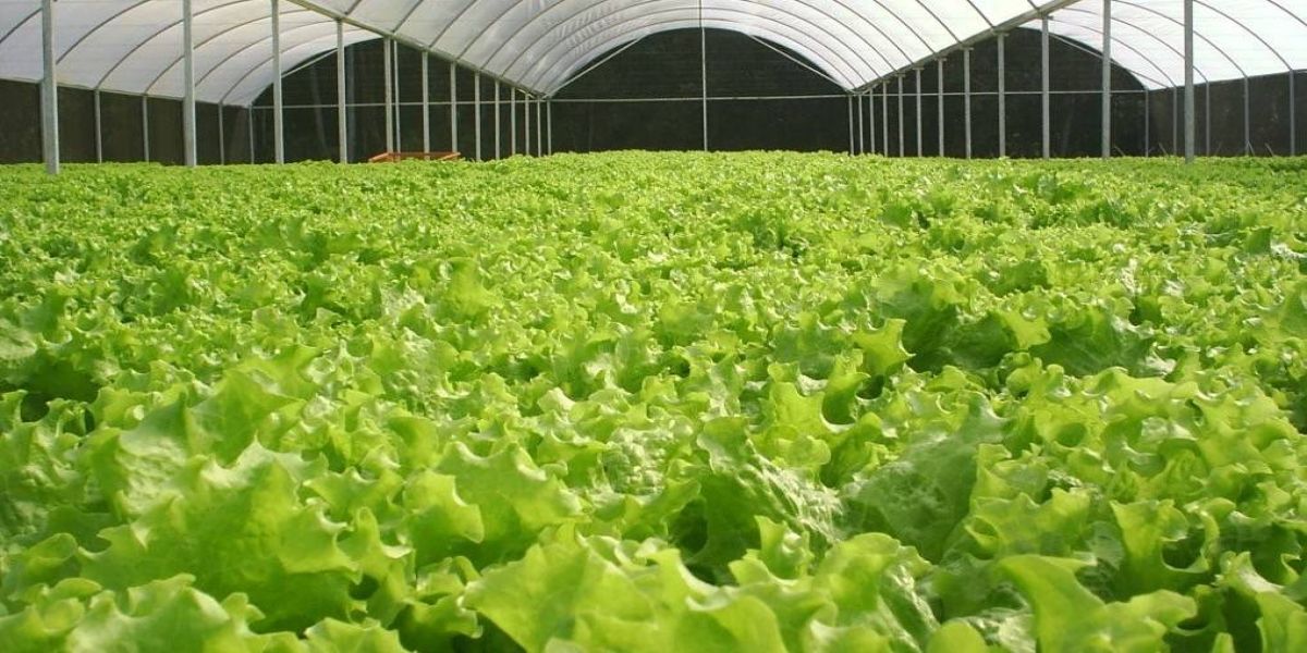 Chegada do inverno preocupa produtores rurais