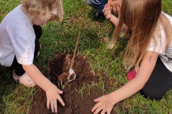 Paraná recebe convite da ONU para renovar parceria na neutralização de CO2