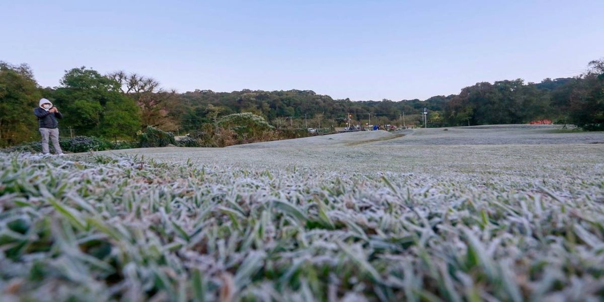 Com temperatura de até -3,9°C, Simepar registra madrugada mais fria do ano em 44 cidades