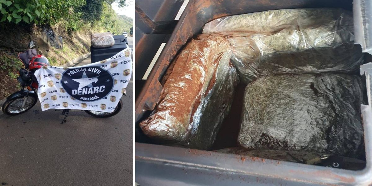 Denarc apreende motociclista com 10 de maconha em flagrante na BR-277