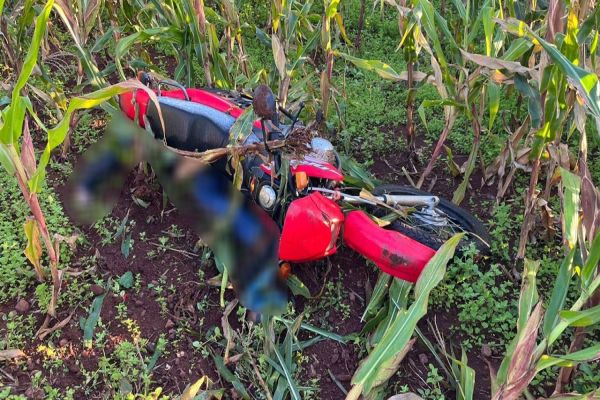 Imagem referente a notícia: Motociclista é encontrado morto dentro de plantação de milho em Nova Santa Rosa