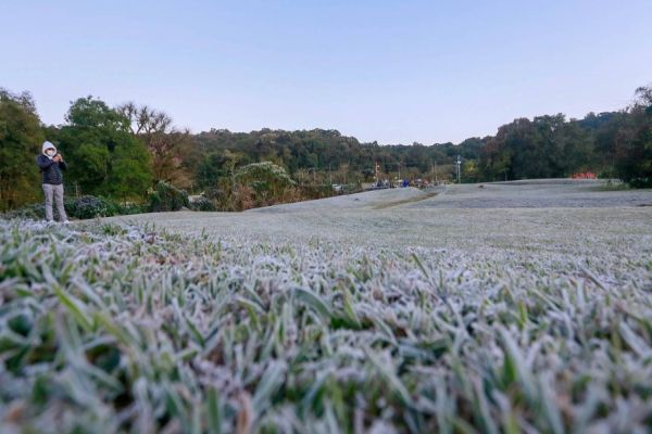 Com temperatura de até -3,9°C, Simepar registra madrugada mais fria do ano em 44 cidades