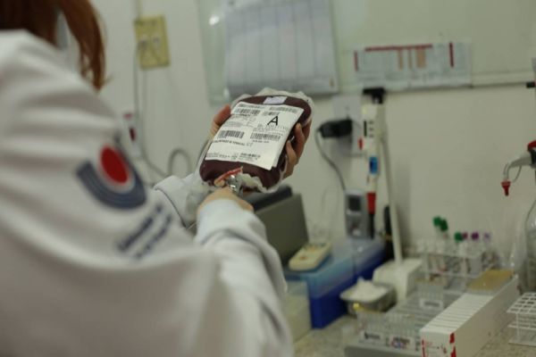 Huop aumenta utilização de bolsas de sangue para mais de 500 utilizadas mensalmente