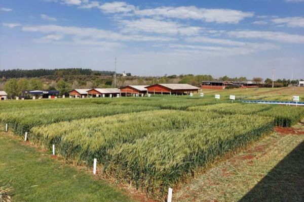 Coopavel já prepara a edição de 2022 do Show Rural de Inverno